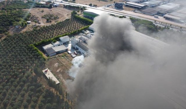 Yat fabrikasında çıkan yangın kontrol altında