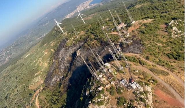 Şehrin en güzel ormanları kül oldu!