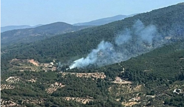 İzmir'de orman yangını!