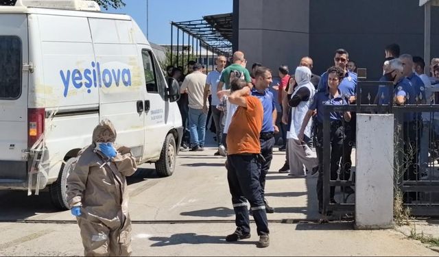 Fabrikada kimyasal sızıntı: İşçiler etkilendi