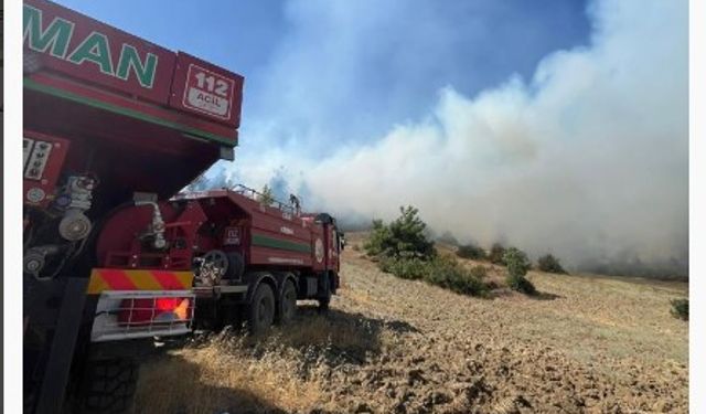 Kahramanmaraş’ta orman yangını