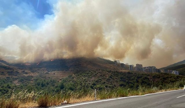 İzmir'de büyük yangın: Evlere sıçradı!