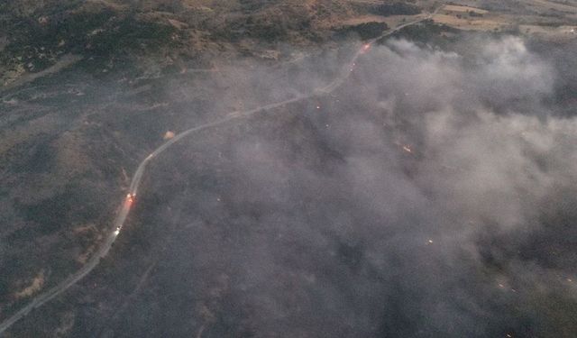 Uşak’ta orman yangını! Havadan ve karadan müdahale