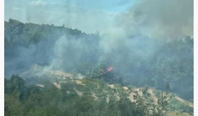 Bursa’da ormanlık alanda yangın!