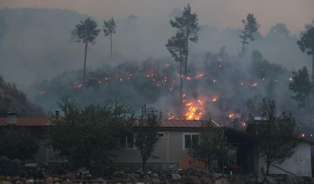 Dalaman’daki orman yangını kontrol altına alındı