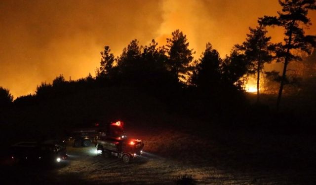 Muğla'da 3 bölgede orman yangını