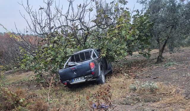 İşçileri taşıyan kamyonet ağaca çarptı: 1 ölü, 7 yaralı