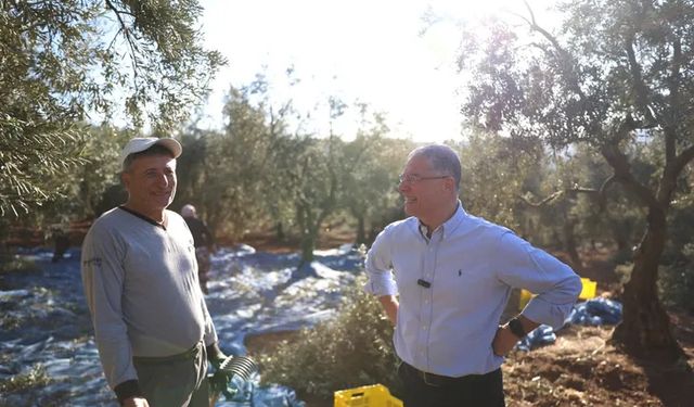 Mudanya Belediyesi zeytin üreticisinin yanında