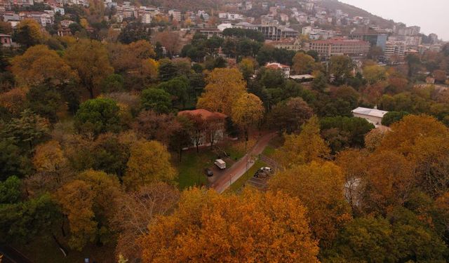 Bursa sonbahar renklerine büründü