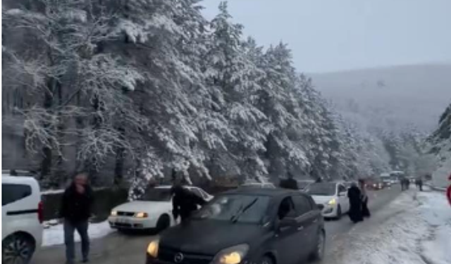 Bursa'da kar yağışıyla hayat durdu, yollar kapandı!