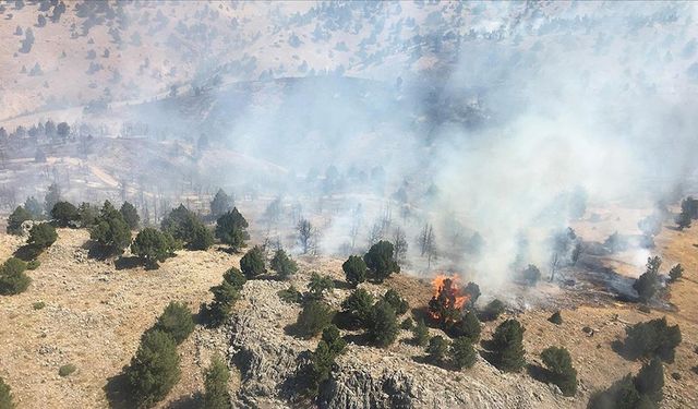 Kahramanmaraş’ta orman yangını