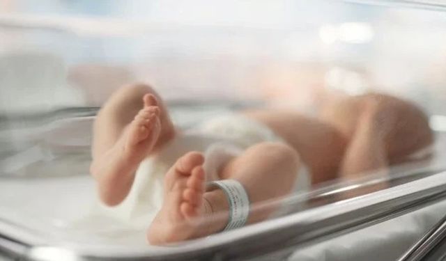 Veriler açıklandı: Doğum hızı düşüyor