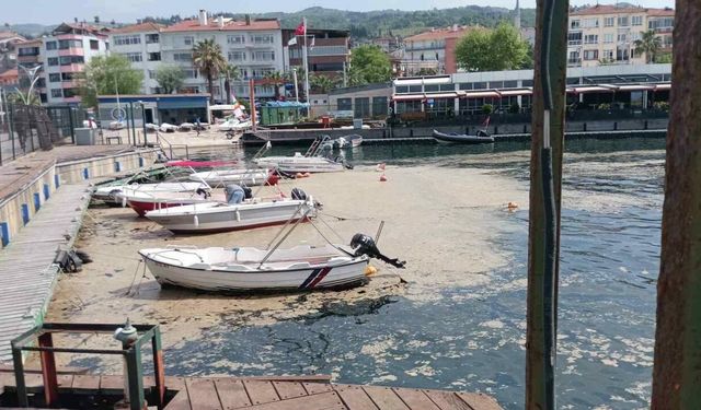 Korkulu rüya, balıkçıları vurdu!