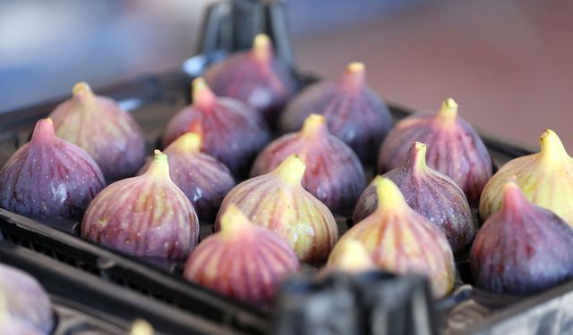 Listede Bursa’nın 3 markası da var