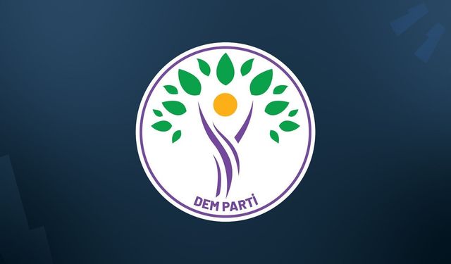 Silah bırakmadan sonra DEM'den ilk açıklama