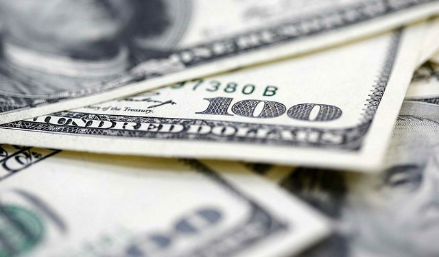 Merkez Bankası’nın rezervlerinde rekor