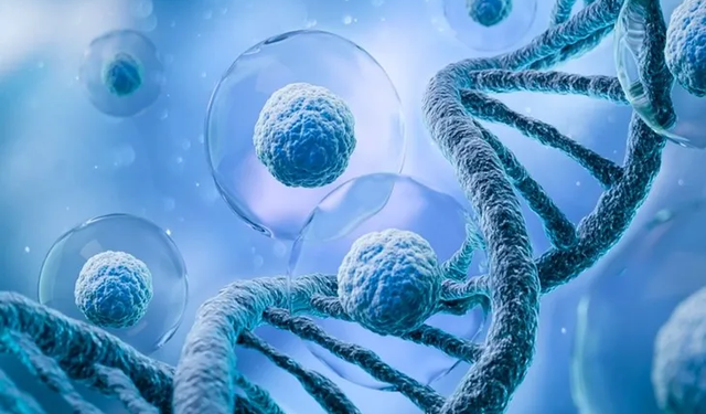 Burtom: Akciğer kanserinin %85’i sigara kaynaklı