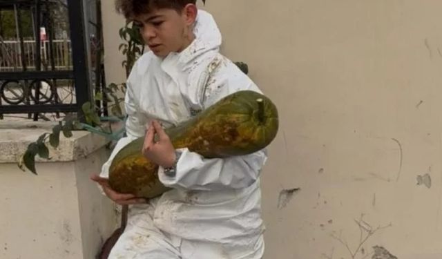 Bursa'da yetiştirildi: Tam 30 kilo ağırlığında!