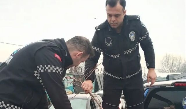 Caddelerdeki duba ve tabelalar toplandı!