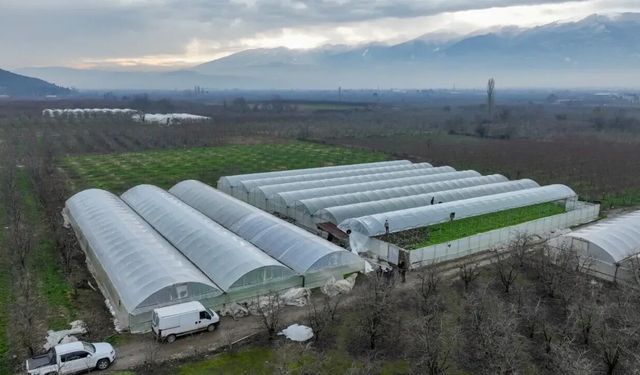 Lodostan zarar gören seralara büyük destek