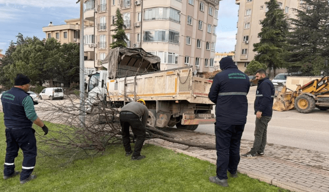 Osmangazi'de devrilen ağaçlara müdahale