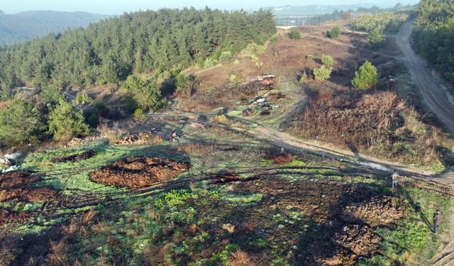 Mudanya'da milyonluk enerji yatırımı başlıyor