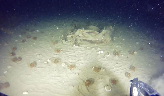 Kayıp "Bursa" uçağına ait yeni izler!