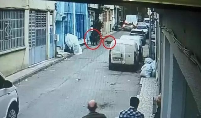 "Pitbull"lu saldırı davasında karar!