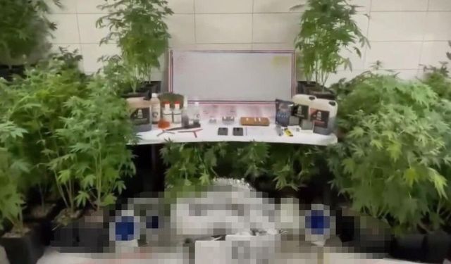 Bursa'da jandarmadan baskın!