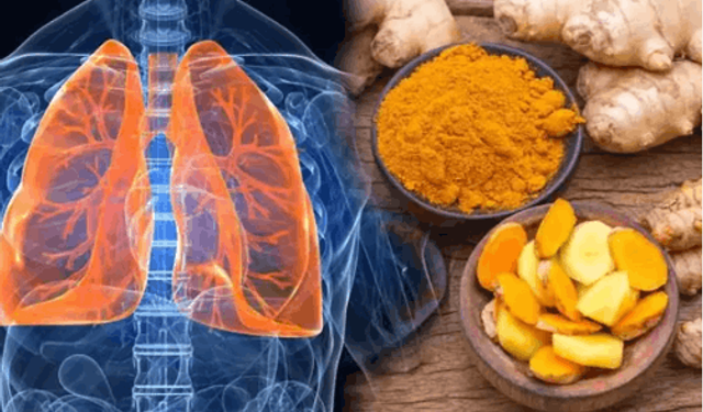 Akciğere İyi Gelen Besinler Nelerdir?