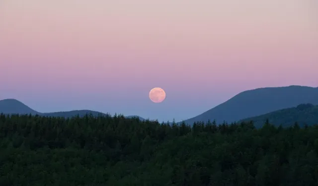 Pembe Dolunay 1 Nisan’da Gökyüzünde