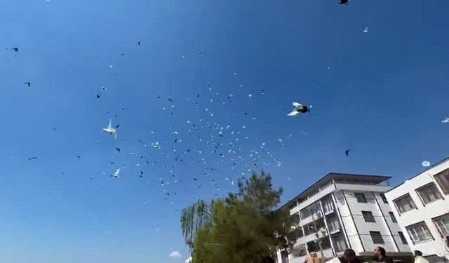 Bursa semalarında muhteşem görsel