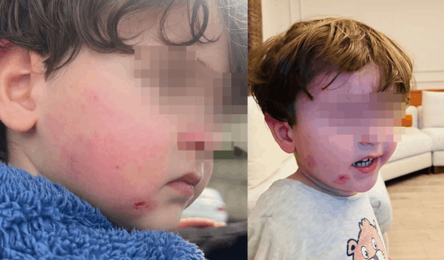 Bursa'da kreşte skandal iddia!