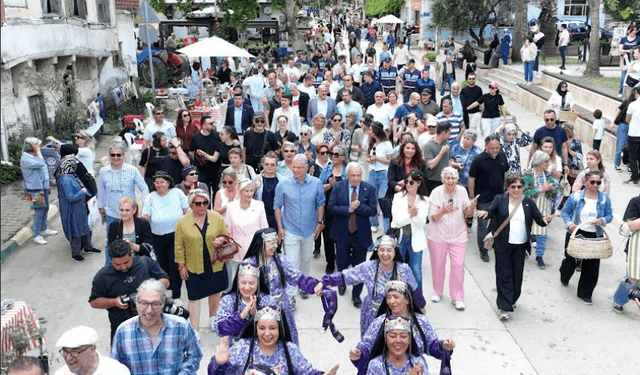BURSA'DA ZEYTİN ÇİÇEĞİ FESTİVALİ BAŞLIYOR!
