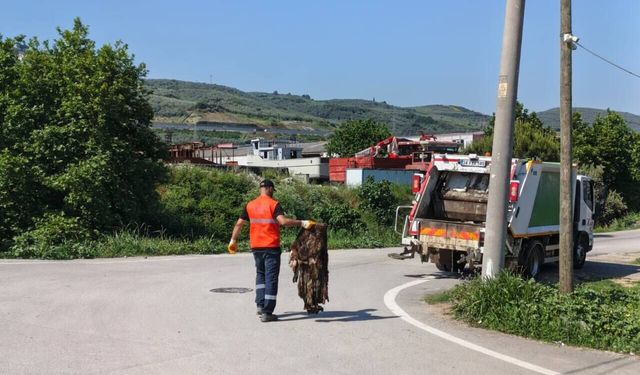Gemlik’te bayram sonrası kapsamlı temizlik