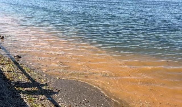 MUDANYA SAHİLİNDE TURUNCU ALARM!