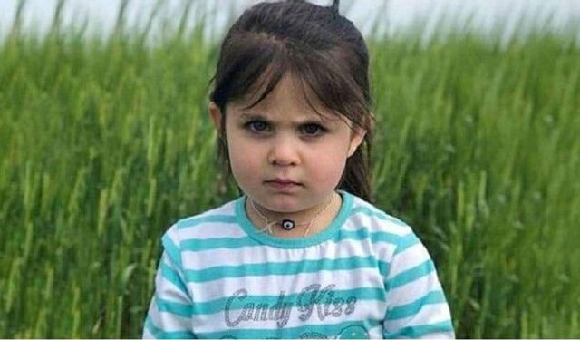Leyla Aydemir davasında karar