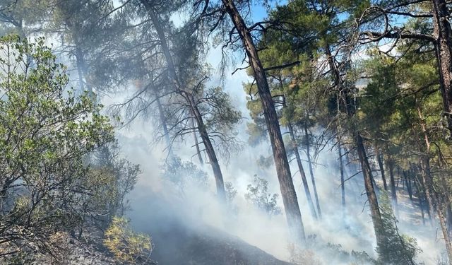 Bursa'da korkutan yangın söndürüldü