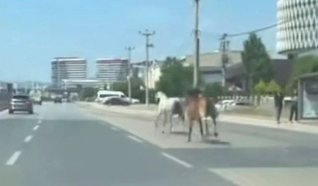 BURSA TRAFİĞİNDE TEHLİKELİ ANLAR!