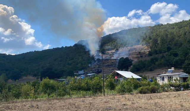 BURSA’DA ORMAN YANGINI