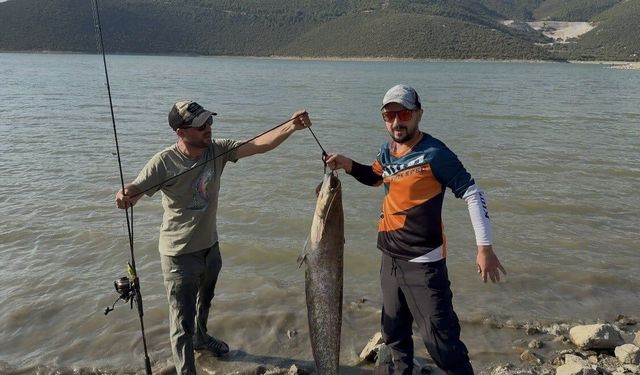 BU BALIĞI BURSA’DA YAKALADILAR!