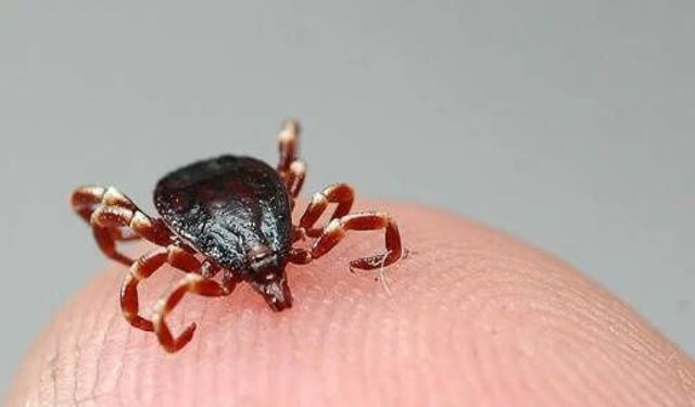 KENEDEN ÖLÜMLERE KARŞI YERLİ AŞI