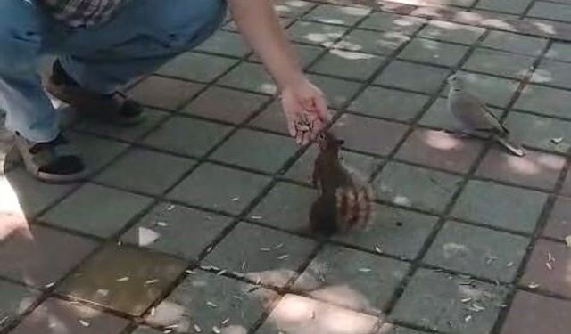 Bursa’dan yürek ısıtan görüntüler