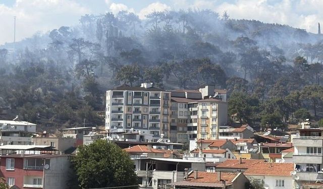 BALIKESİR'DE ORMAN YANGINI!