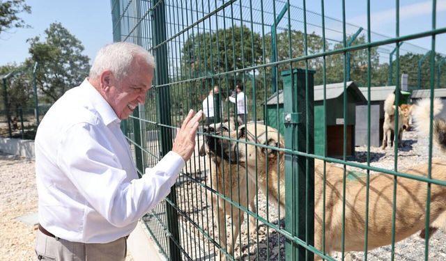 Şadi Özdemir’den ‘Umut Ağacı’na ziyaret