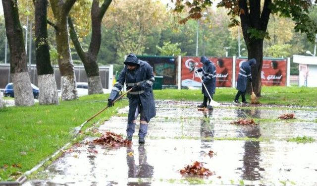 BURSA'DA SONBAHAR TEMİZLİĞİ