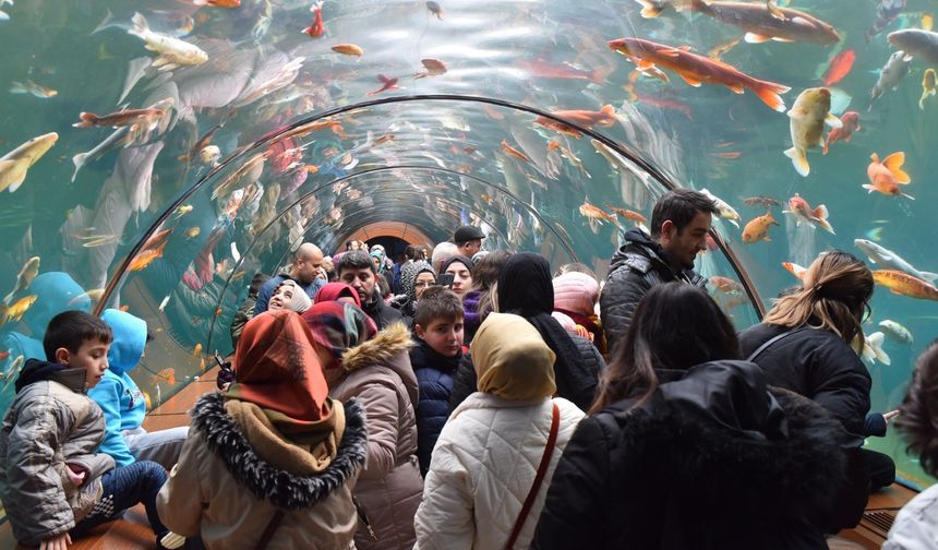 Yıldırım'da tünel akvaryumu 10 günde 40 bin kişi ziyaret etti