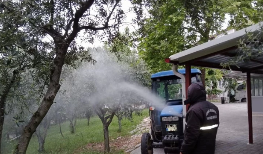 Orhangazi Belediyesi yeşil alanlarda böcek ve haşerelere karşı ilaçlama yapıyor!
