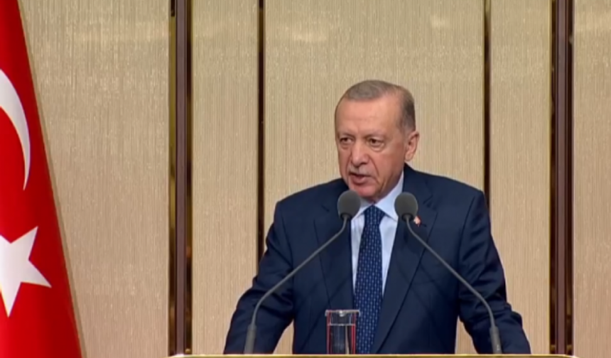 Erdoğan: Irkçı saldırıların çoğunun örtbas edildiğini biliyoruz