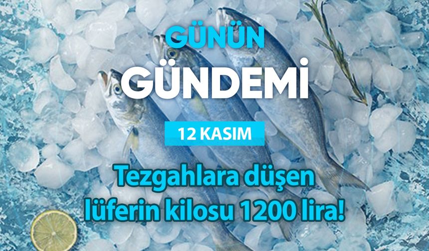 Günün Gündemi (12 Kasım 2024 Salı)